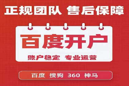 成功SEM推广竞价案例分享